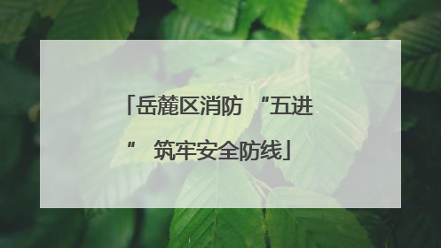 岳麓区消防 “五进” 筑牢安全防线