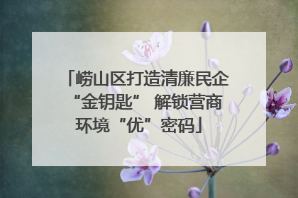 崂山区打造清廉民企“金钥匙” 解锁营商环境“优”密码