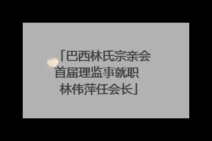 巴西林氏宗亲会首届理监事就职 林伟萍任会长