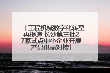 工程机械数字化转型再提速 长沙第三批27家试点中小企业开展产品供需对接