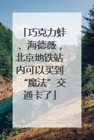 巧克力蛙、海德薇，北京地铁站内可以买到“魔法”交通卡了