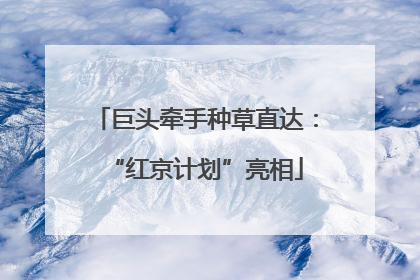 巨头牵手种草直达：“红京计划”亮相