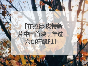 布拉德·皮特新片中国首映，年过六旬狂飙F1