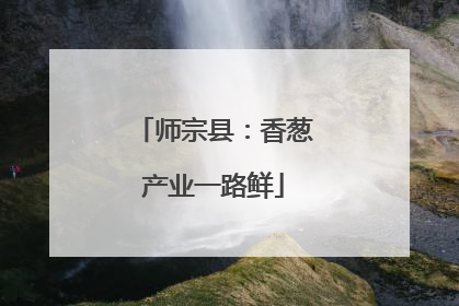 师宗县：香葱产业一路鲜