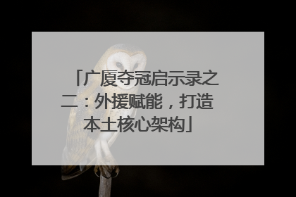 广厦夺冠启示录之二：外援赋能，打造本土核心架构