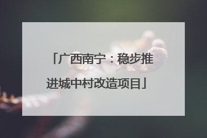 广西南宁：稳步推进城中村改造项目