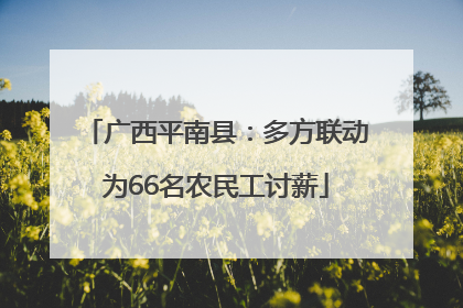 广西平南县：多方联动为66名农民工讨薪