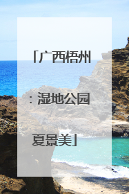 广西梧州：湿地公园夏景美