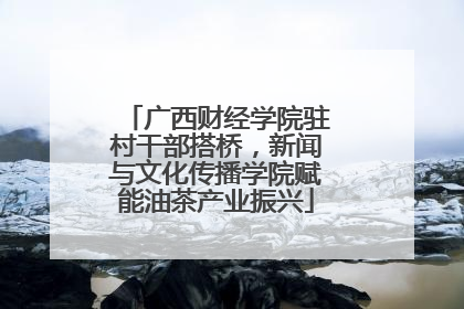 广西财经学院驻村干部搭桥，新闻与文化传播学院赋能油茶产业振兴