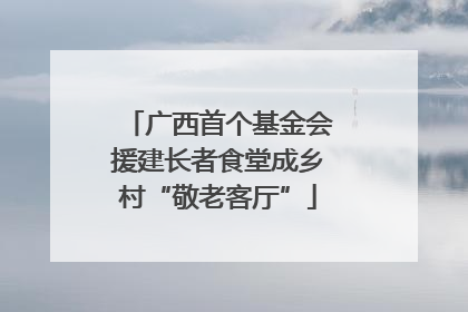 广西首个基金会援建长者食堂成乡村“敬老客厅”