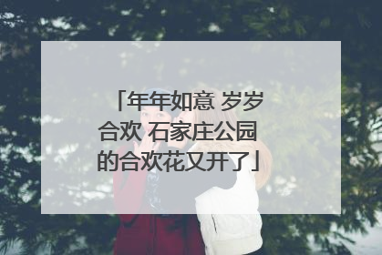 年年如意 岁岁合欢 石家庄公园的合欢花又开了