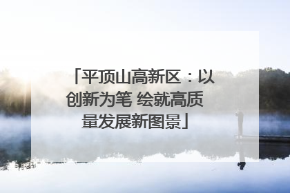 平顶山高新区：以创新为笔 绘就高质量发展新图景