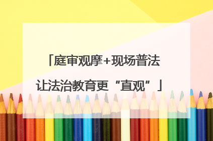 庭审观摩+现场普法 让法治教育更“直观”