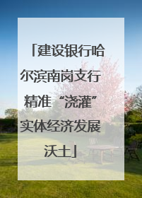 建设银行哈尔滨南岗支行精准“浇灌”实体经济发展沃土