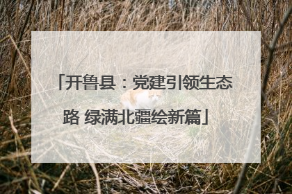 开鲁县：党建引领生态路 绿满北疆绘新篇