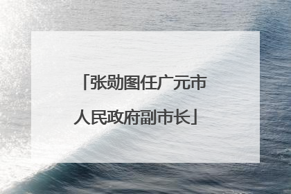张勋图任广元市人民政府副市长