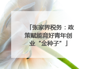 张家界税务：政策赋能育好青年创业“金种子”