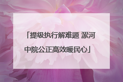提级执行解难题 漯河中院公正高效暖民心