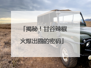 揭秘！甘谷辣椒火爆出圈的密码