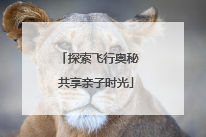 探索飞行奥秘 共享亲子时光