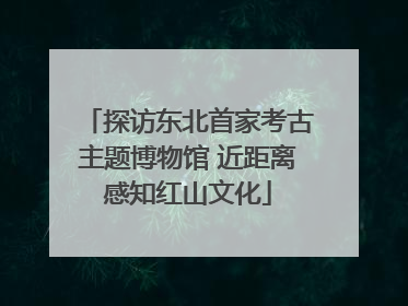 探访东北首家考古主题博物馆 近距离感知红山文化