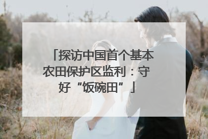 探访中国首个基本农田保护区监利：守好“饭碗田”
