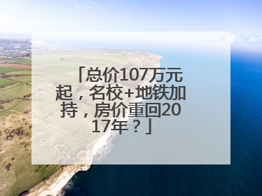 总价107万元起，名校+地铁加持，房价重回2017年？