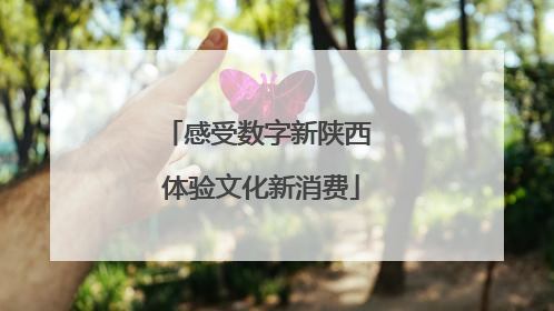 感受数字新陕西 体验文化新消费