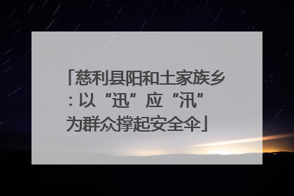 慈利县阳和土家族乡：以“迅”应“汛” 为群众撑起安全伞