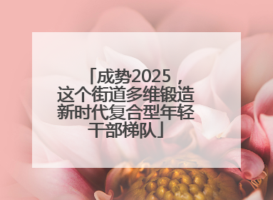成势2025，这个街道多维锻造新时代复合型年轻干部梯队