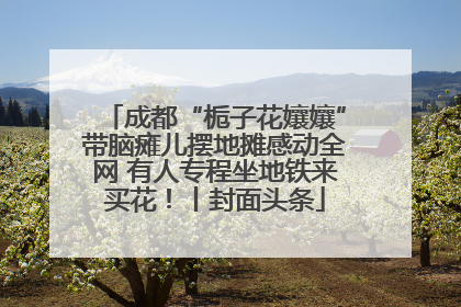 成都“栀子花孃孃”带脑瘫儿摆地摊感动全网 有人专程坐地铁来买花！丨封面头条