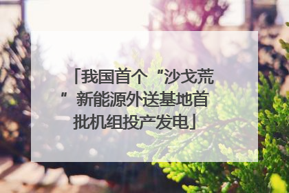 我国首个“沙戈荒”新能源外送基地首批机组投产发电