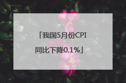 我国5月份CPI同比下降0.1%