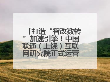 打造“智改数转”加速引擎！中国联通（上饶）互联网研究院正式运营（图）