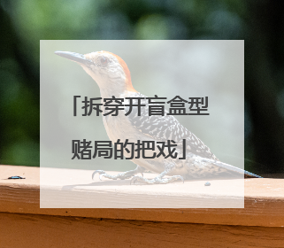 拆穿开盲盒型赌局的把戏