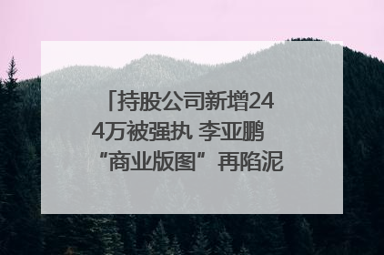 持股公司新增244万被强执 李亚鹏“商业版图”再陷泥潭？｜科技观察