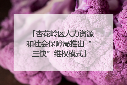 杏花岭区人力资源和社会保障局推出“三快”维权模式