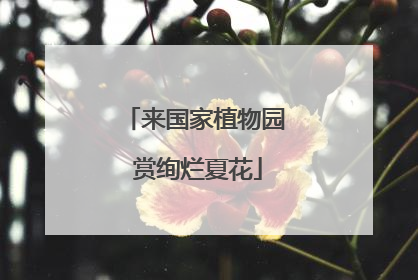 来国家植物园 赏绚烂夏花