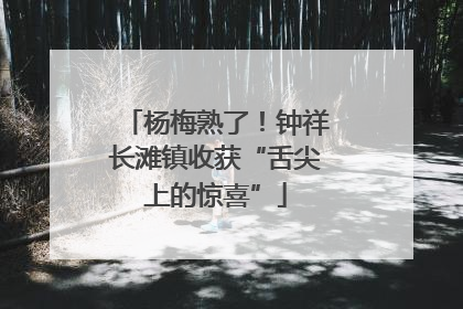 杨梅熟了！钟祥长滩镇收获“舌尖上的惊喜”