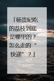 杨贵妃吃的荔枝到底是哪里的？怎么走的“快递”？