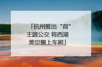 杭州推出“荷”主题公交 将西湖美景搬上车厢