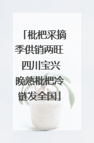 枇杷采摘季供销两旺 四川宝兴晚熟枇杷冷链发全国