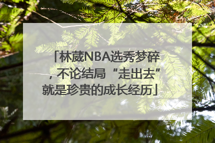 林葳NBA选秀梦碎，不论结局“走出去”就是珍贵的成长经历