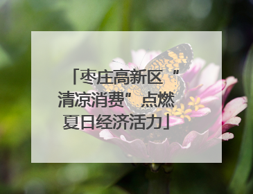 枣庄高新区“清凉消费”点燃夏日经济活力