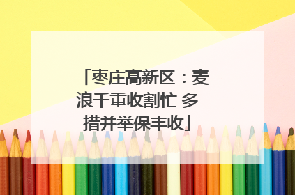 枣庄高新区：麦浪千重收割忙 多措并举保丰收