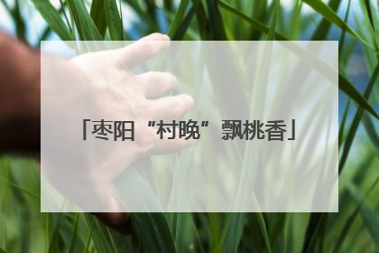 枣阳“村晚”飘桃香