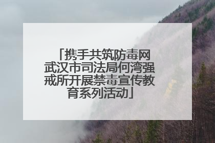 携手共筑防毒网 武汉市司法局何湾强戒所开展禁毒宣传教育系列活动