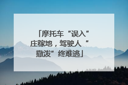 摩托车“误入”庄稼地，驾驶人“撒泼”终难逃