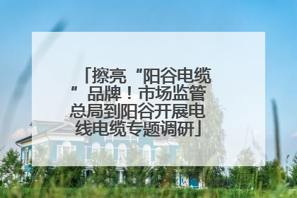 擦亮“阳谷电缆”品牌！市场监管总局到阳谷开展电线电缆专题调研