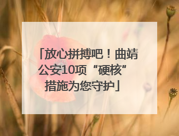 放心拼搏吧！曲靖公安10项“硬核”措施为您守护